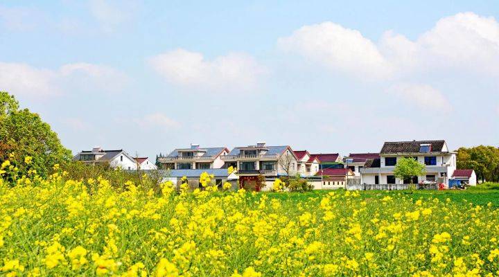 河南焦作市發文推進農村人居環境整治、農村污水治理、黑臭水體治理